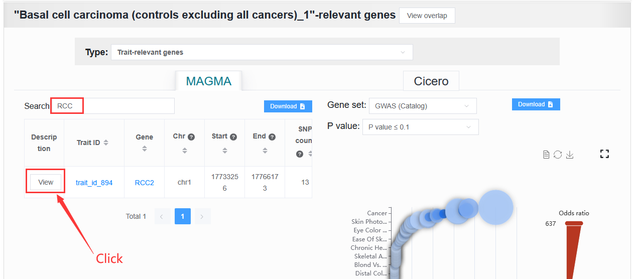 ../_images/magma_annotation.png